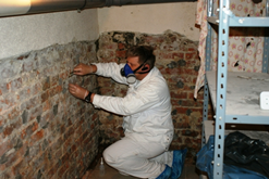 badania mikrobiologiczne